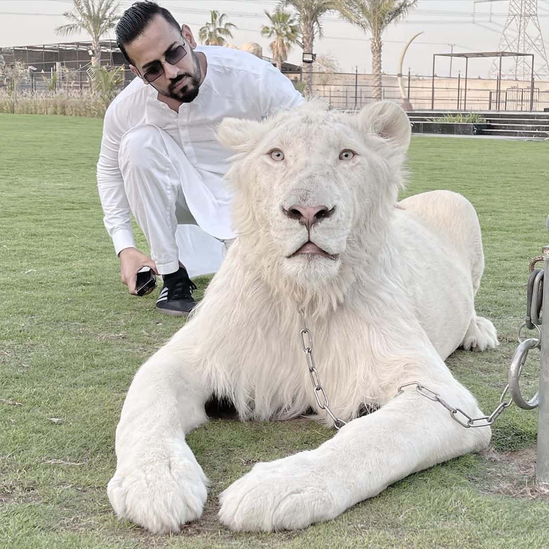 Garry Sandhu Wallpaper