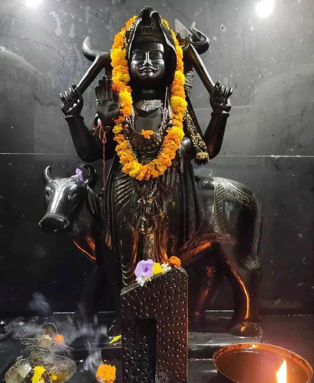 Shani Dev Pic