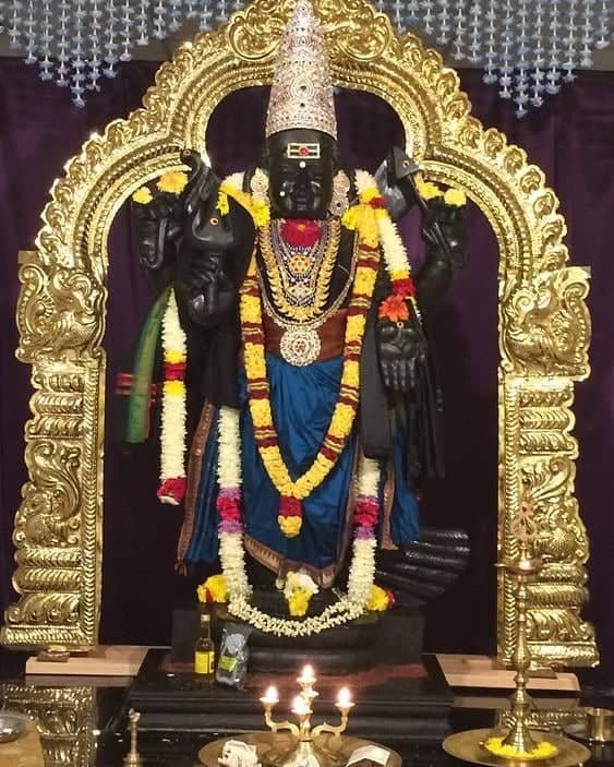 Shani Dev Pic