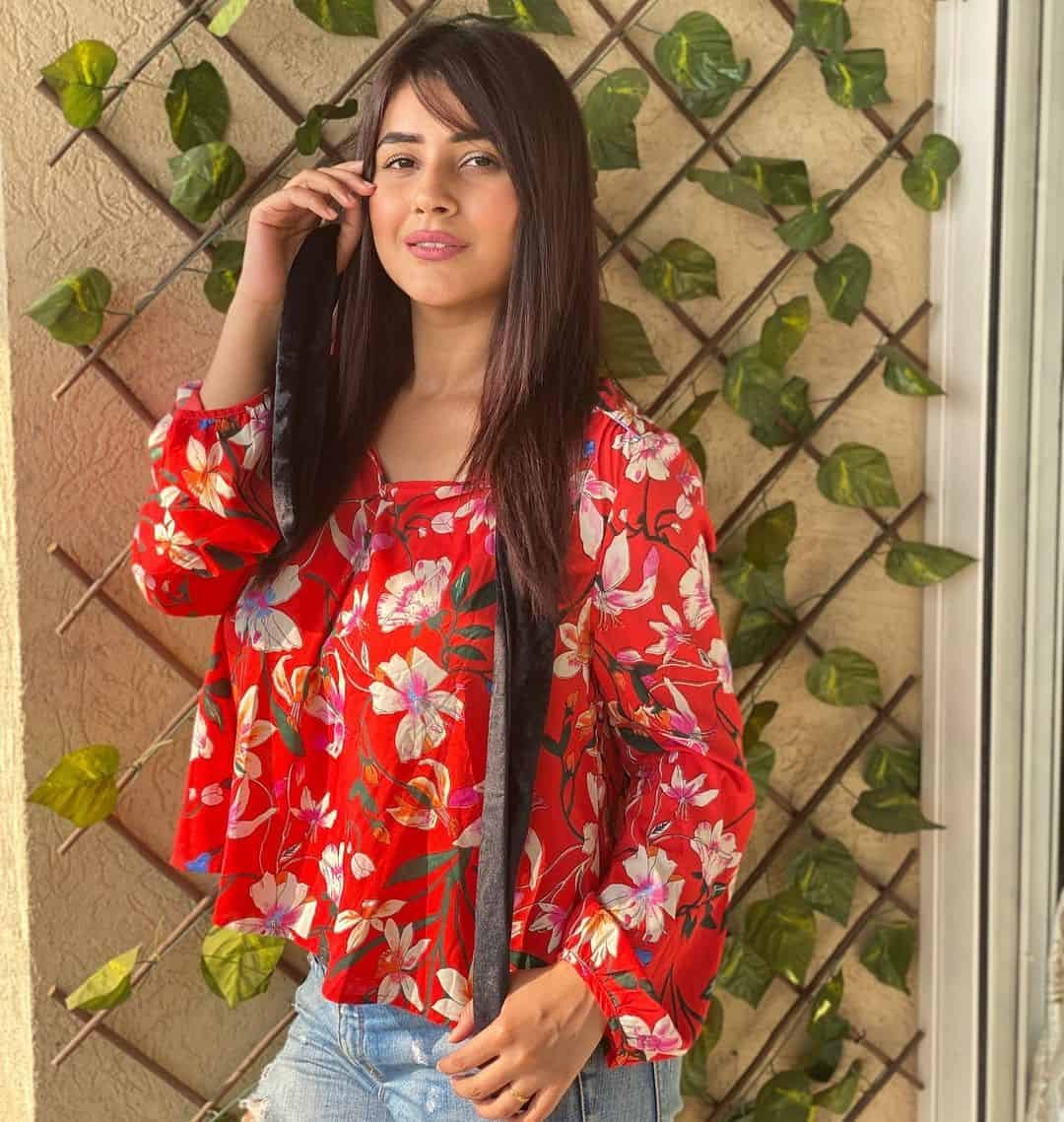 Shehnaaz Gill Photos