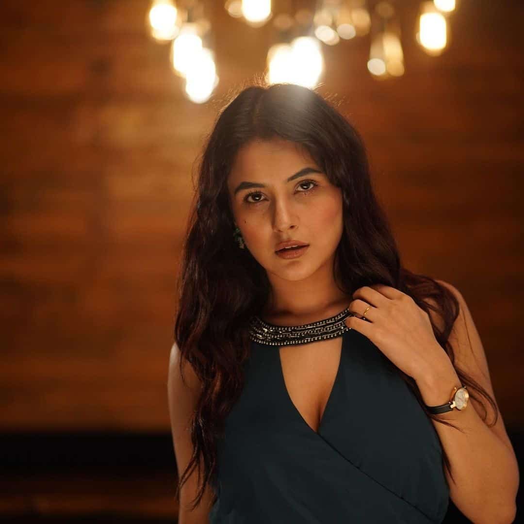 Shehnaaz Gill Image