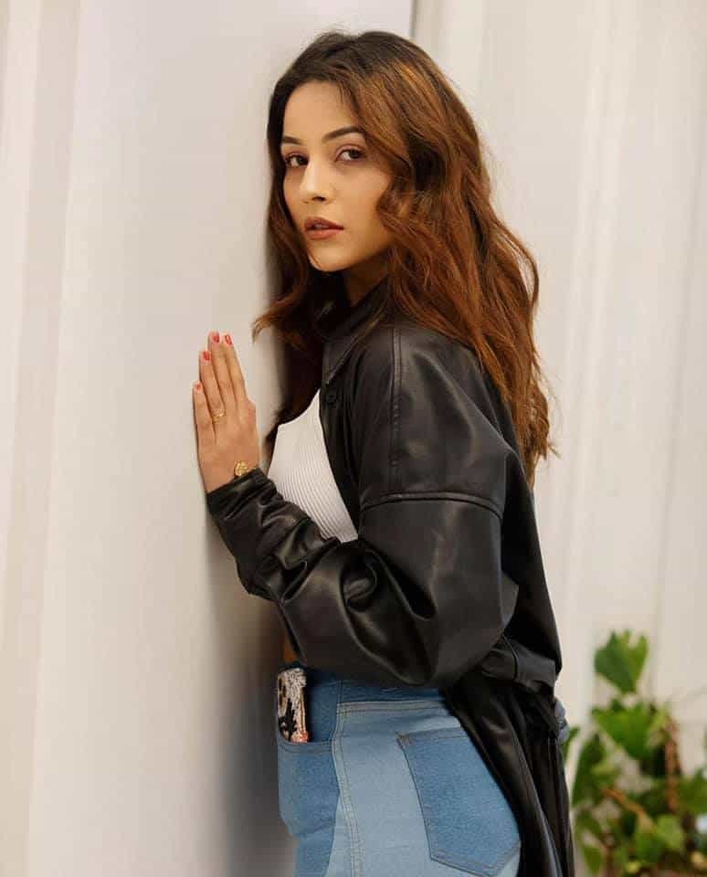 Shehnaaz Gill Wallpaper