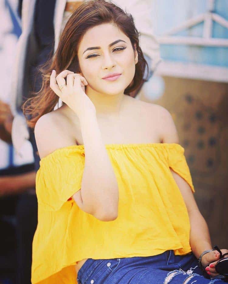 Shehnaaz Gill Photo