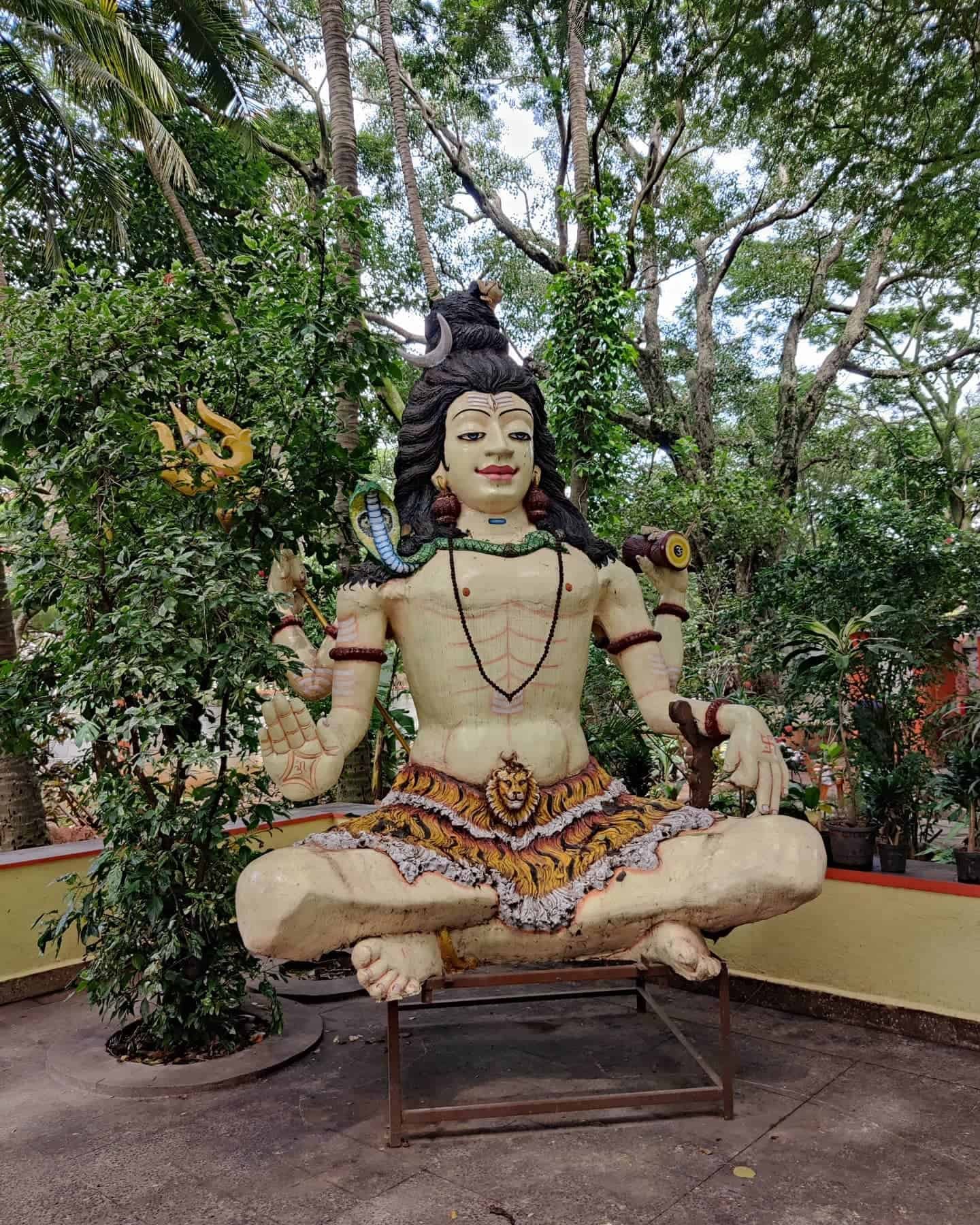 Shiv Ji Pic