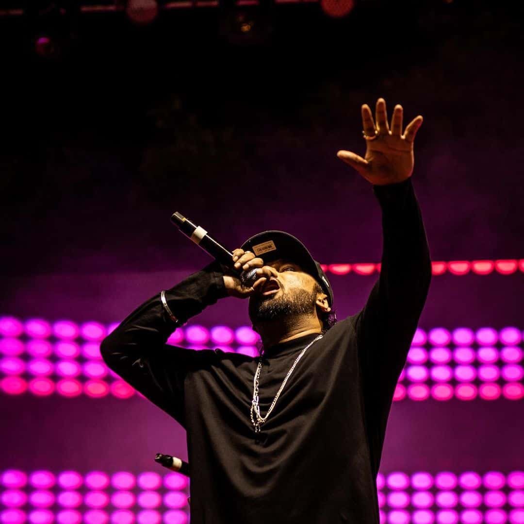 Yo Yo Honey Singh Image