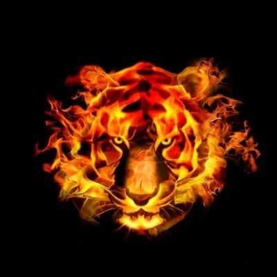 Royal Attitude DP