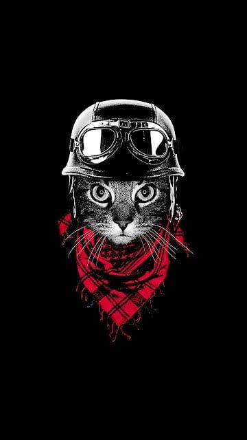 Cool DP Photos