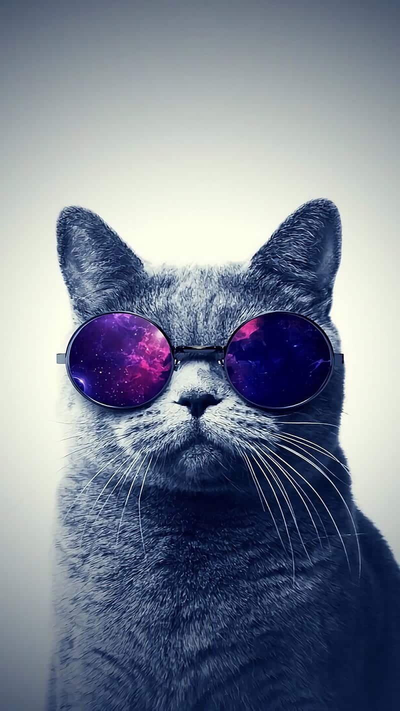 Cool DP HD
