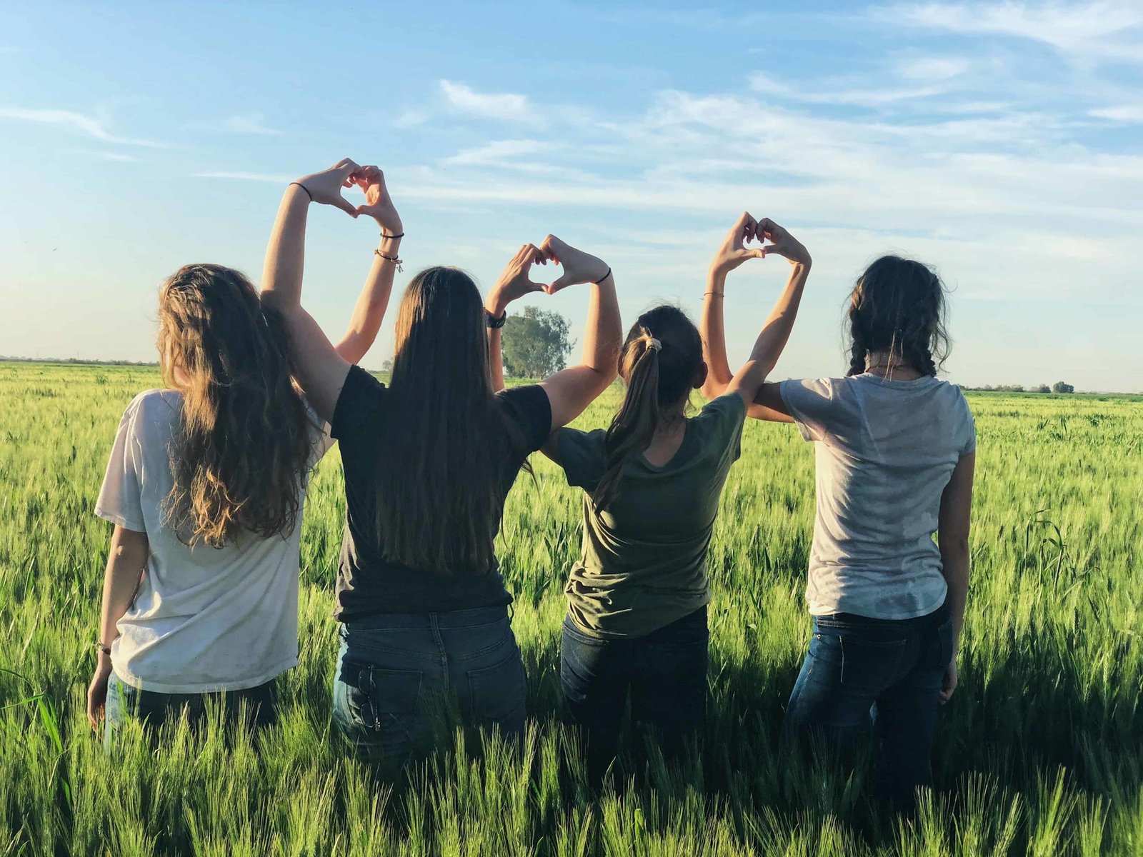 Best Friends DP