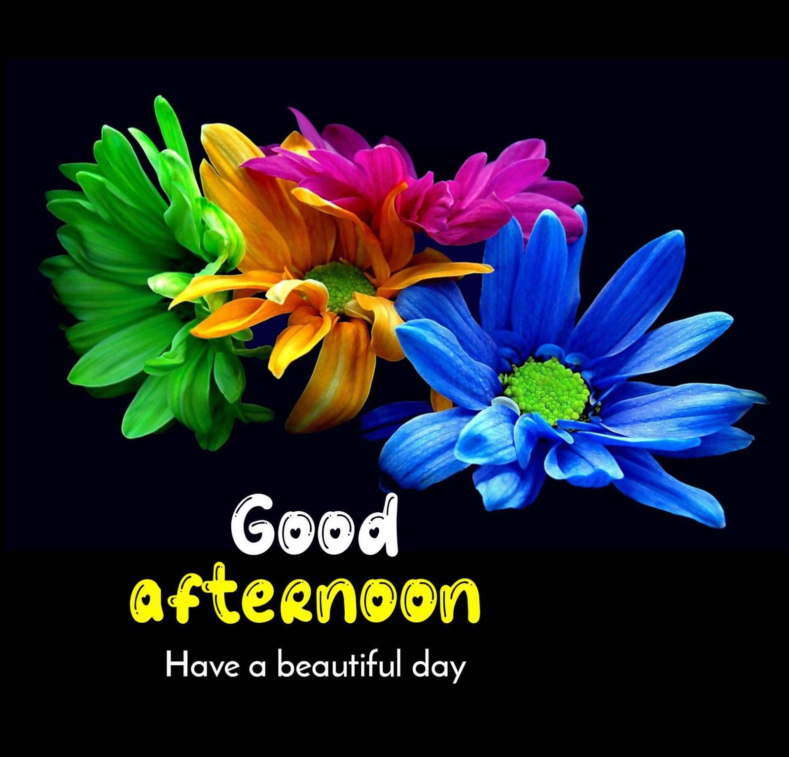 Good Afternoon Images