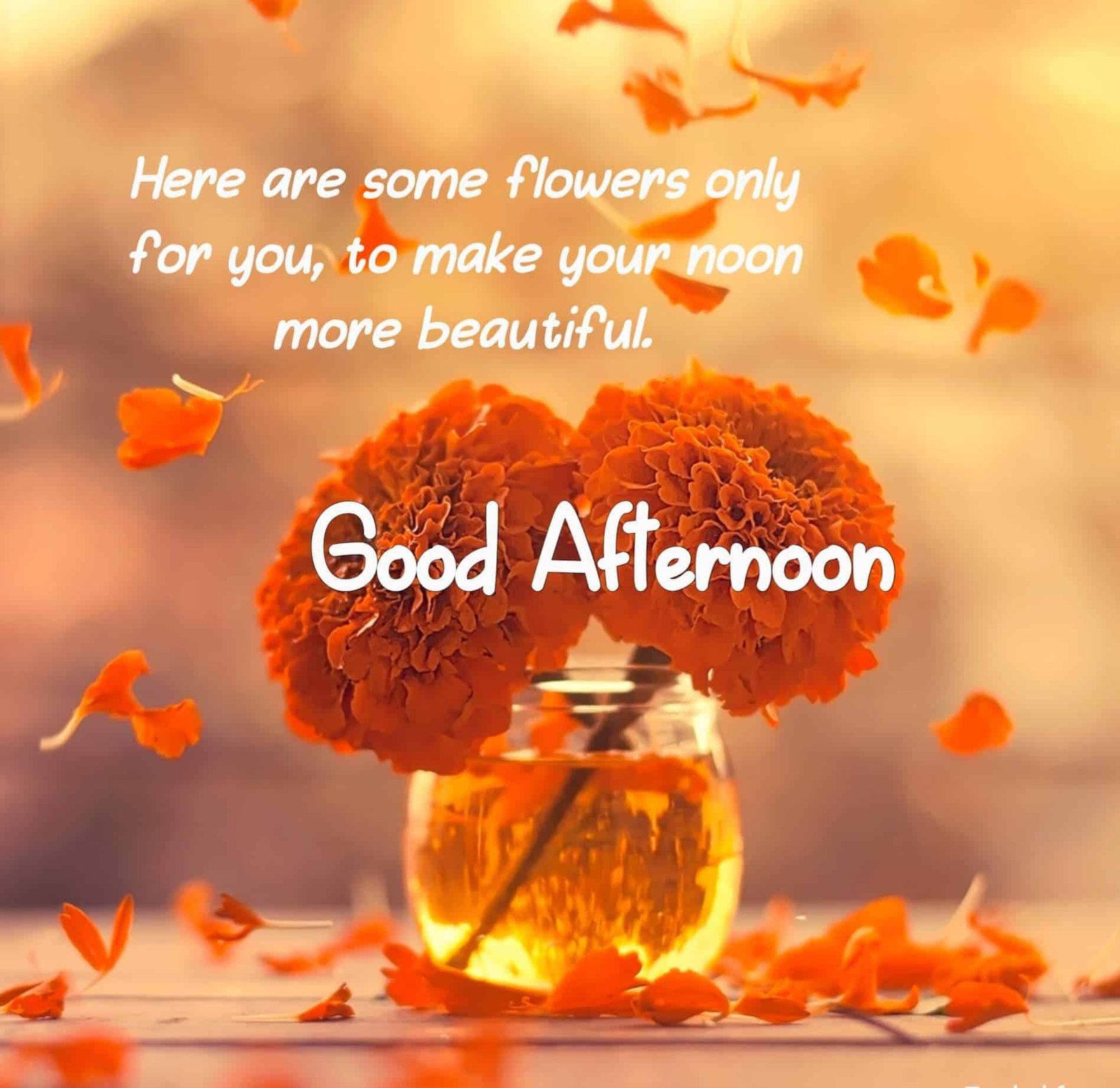 Good Afternoon Images