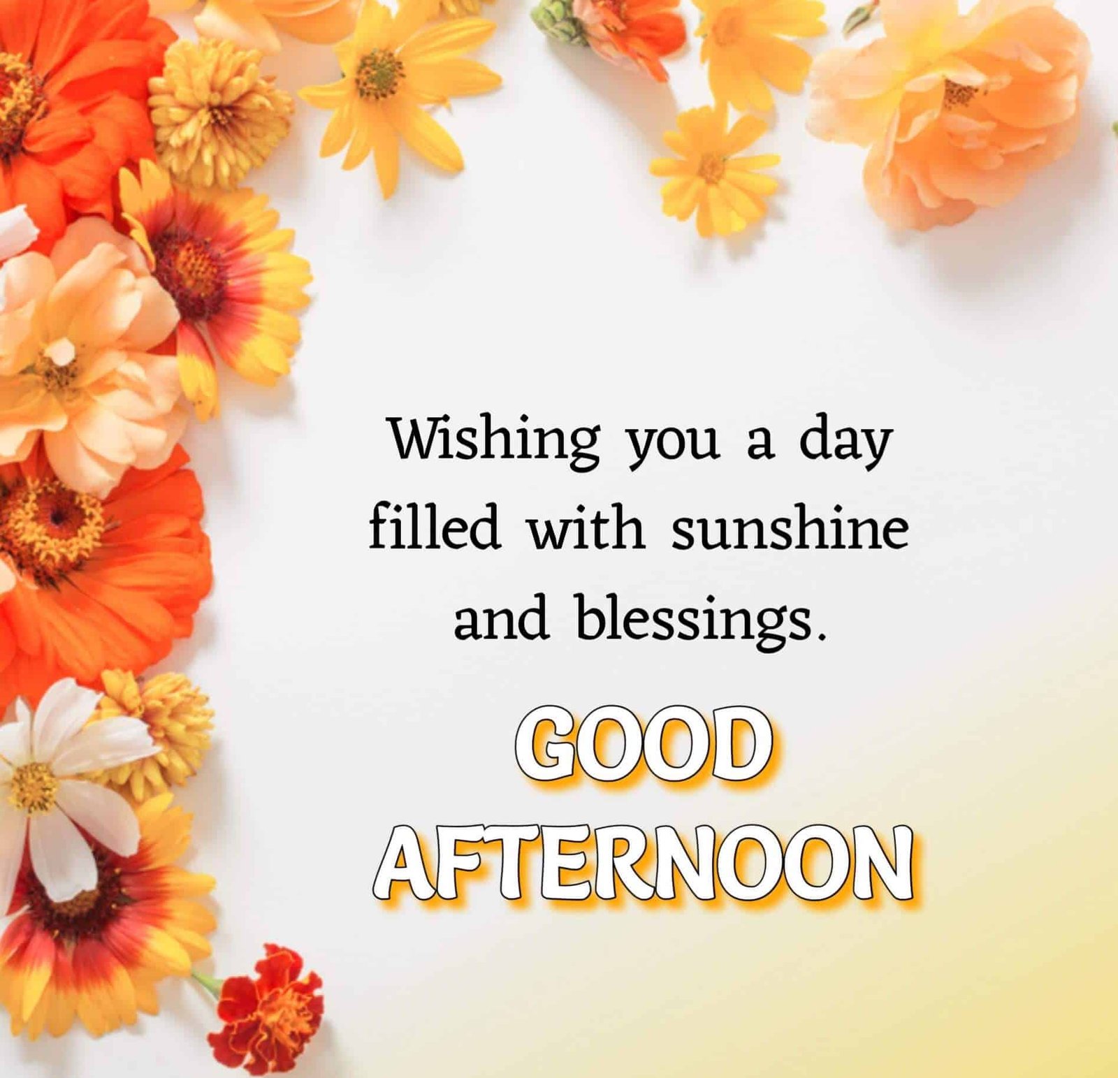 Good Afternoon Images