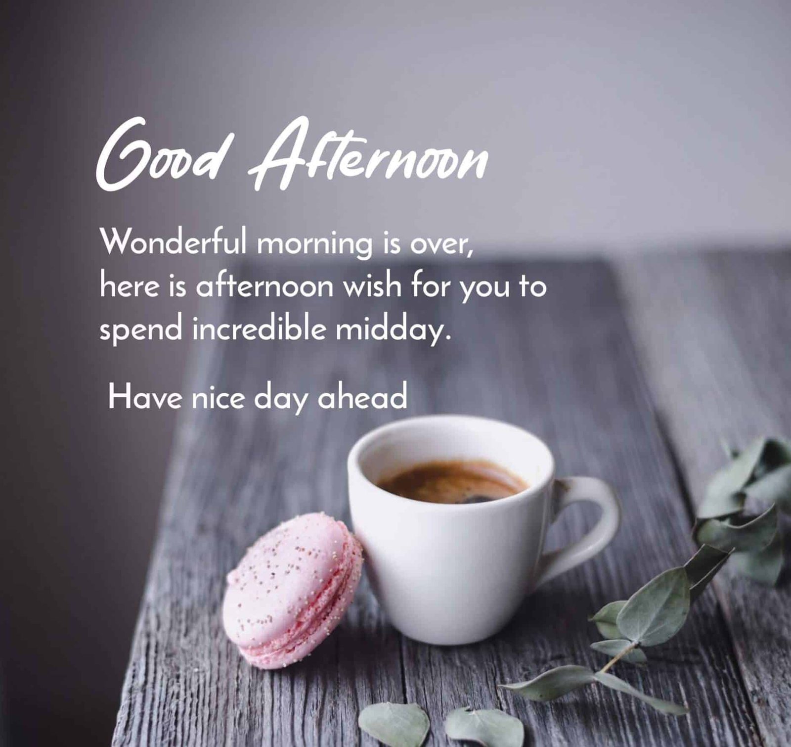 Good Afternoon Images