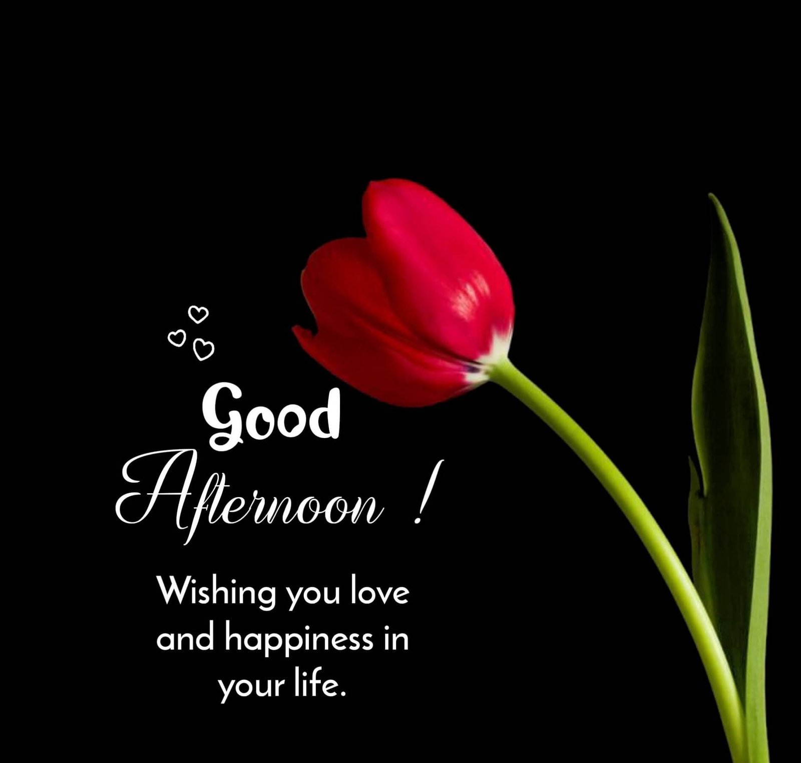 Good Afternoon Images HD