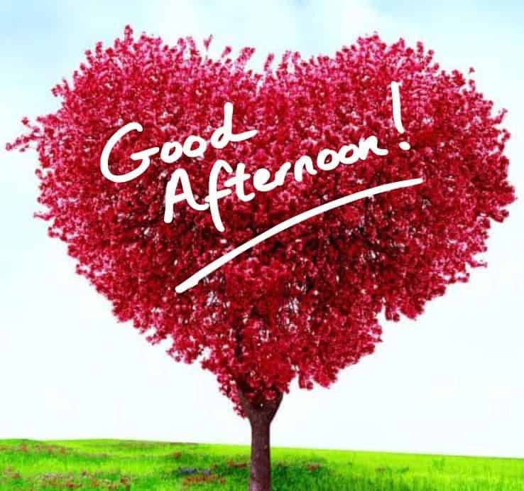 Good Afternoon Images HD
