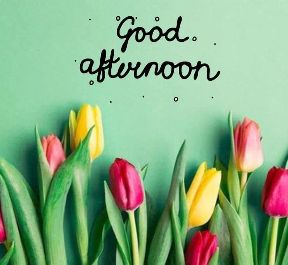Good Afternoon Images HD