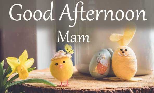 Good Afternoon Images HD