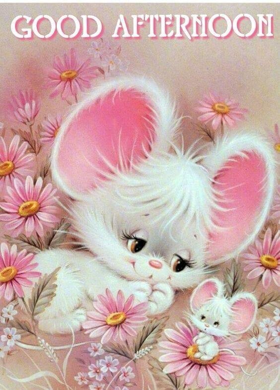 Good Afternoon Images HD