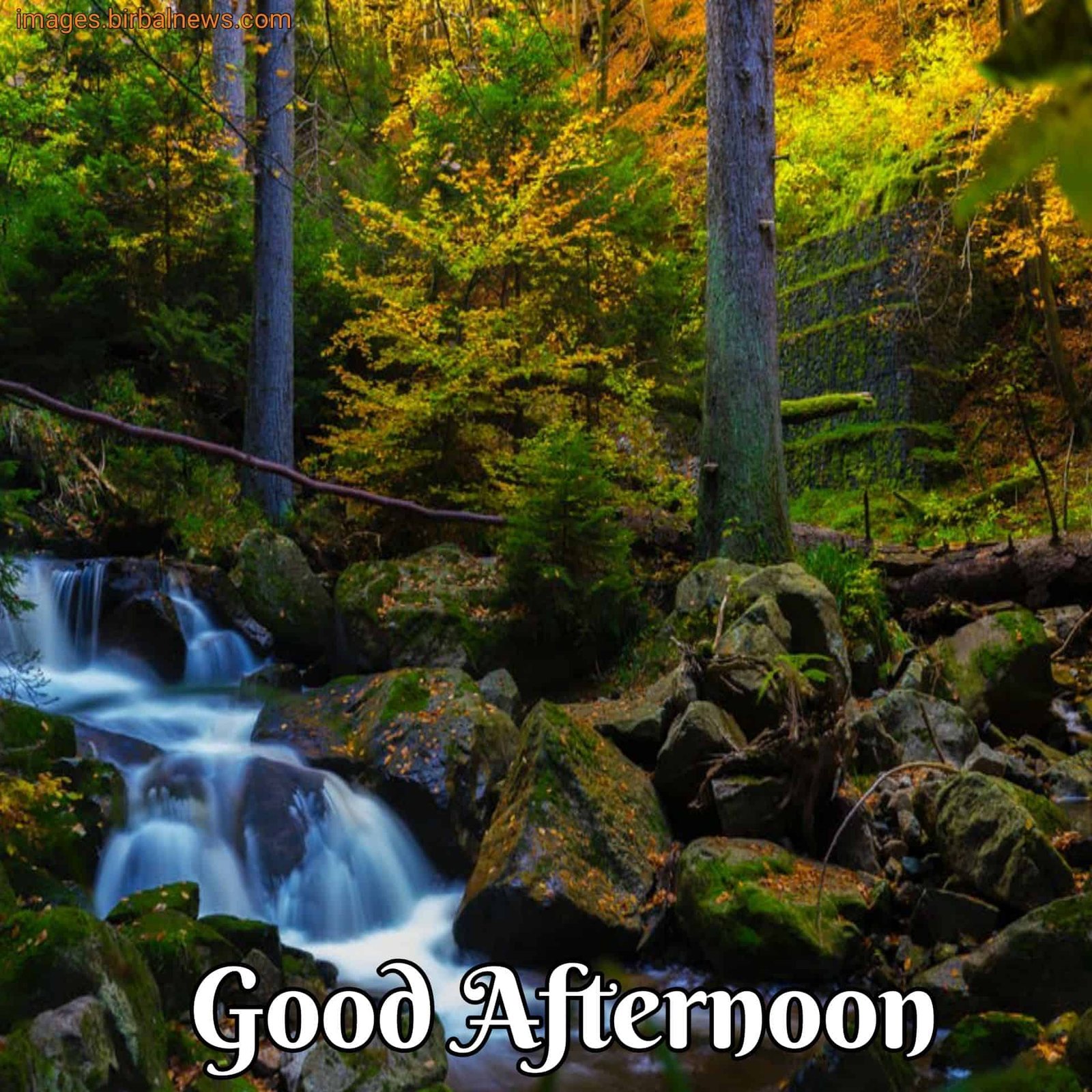 Beautiful Good Afternoon Images