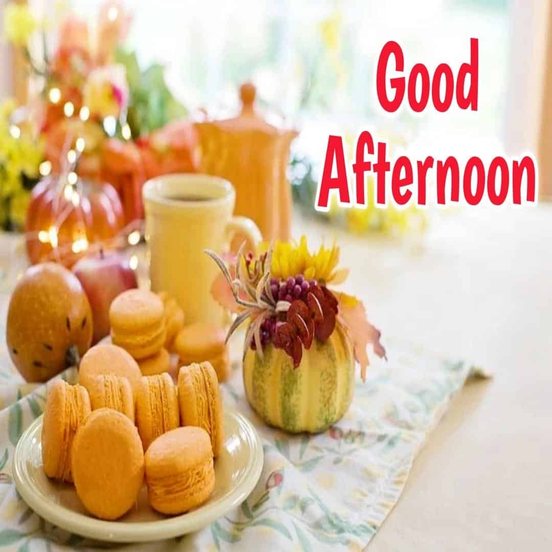 Beautiful Good Afternoon Images