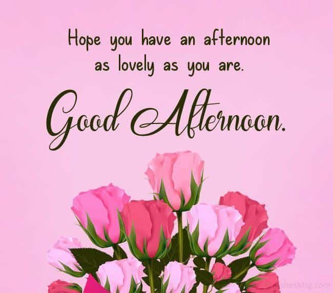Beautiful Good Afternoon Images