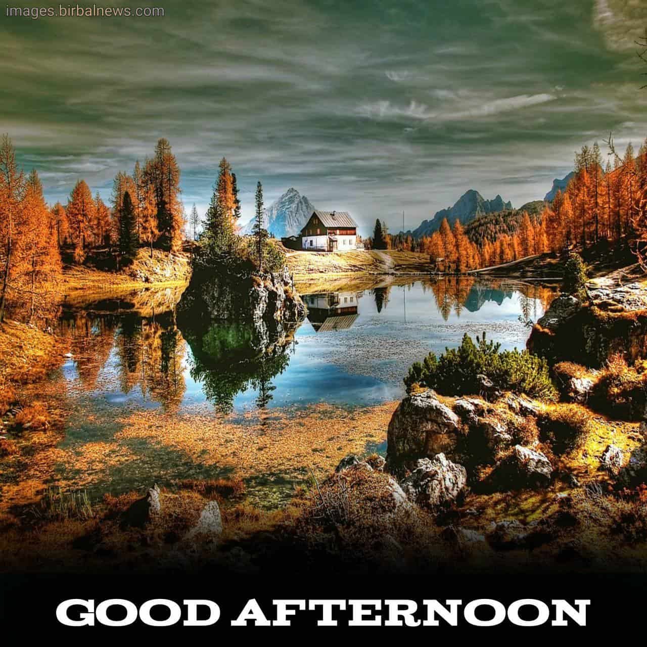 Beautiful Good Afternoon Images