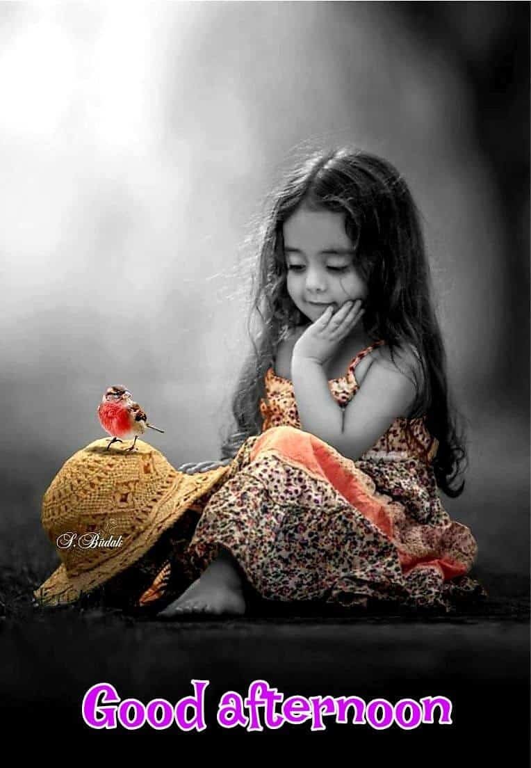 Beautiful Good Afternoon Images