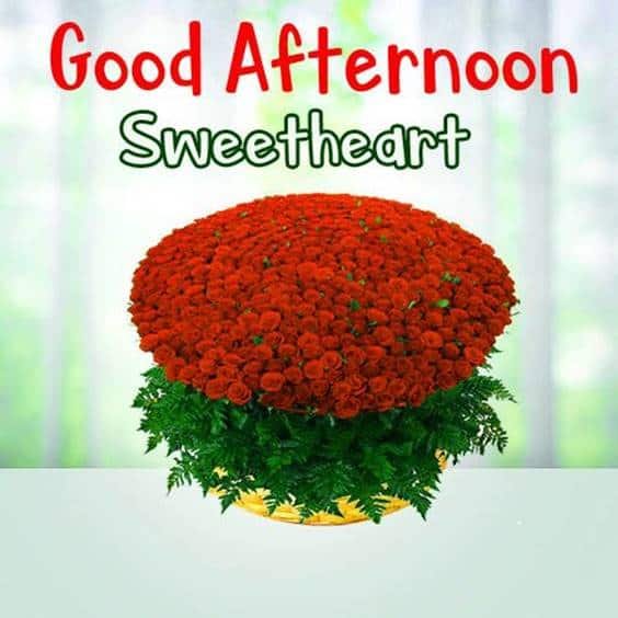 Beautiful Good Afternoon Images