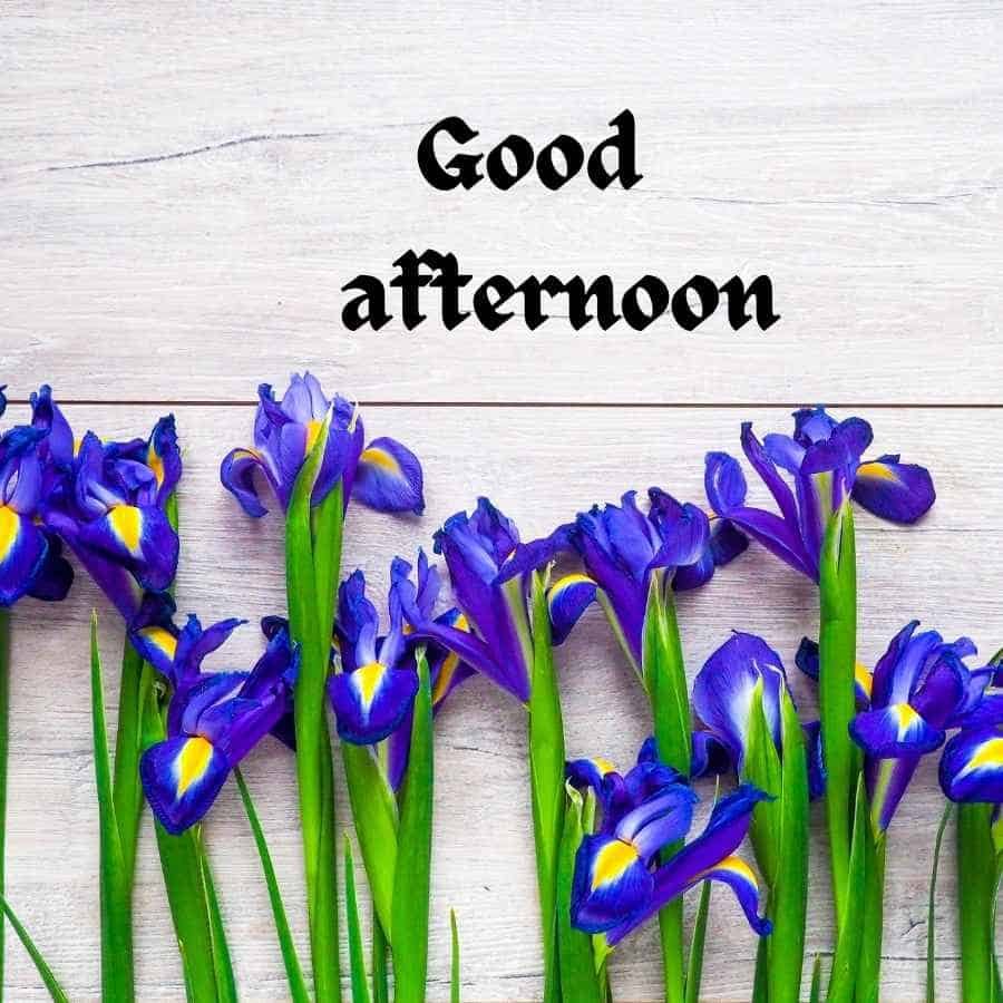 Good Afternoon Images in Hindi