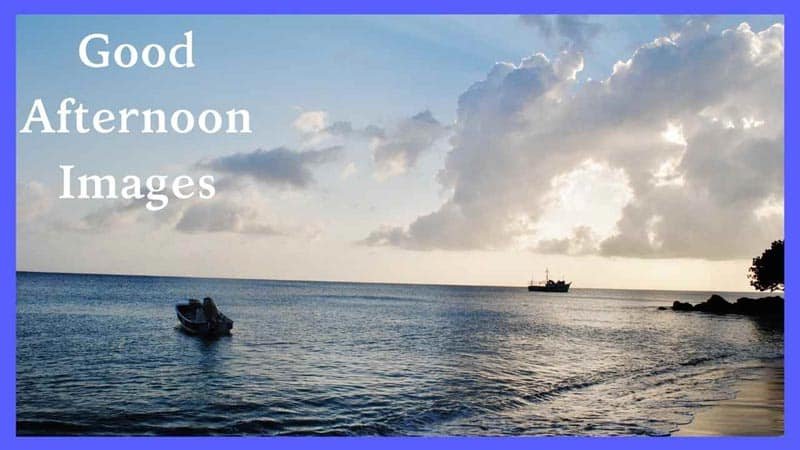 Good Afternoon Images in Hindi