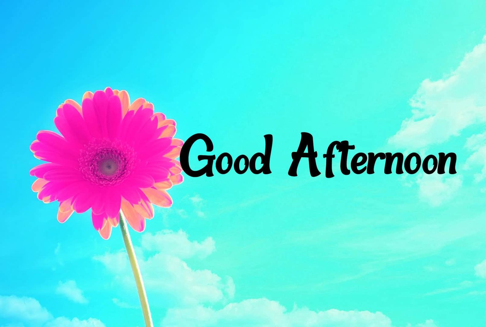 New Good Afternoon Images