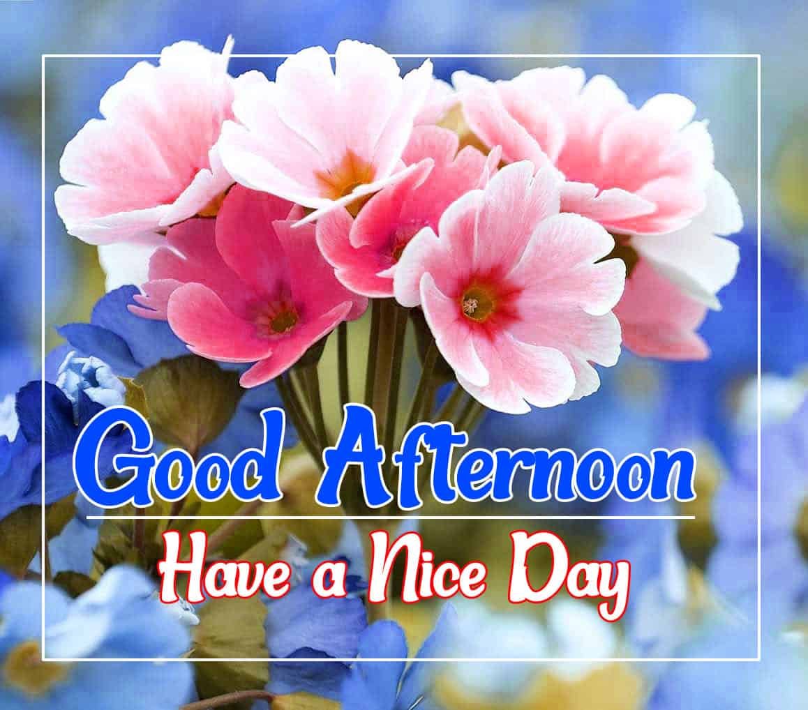 New Good Afternoon Images