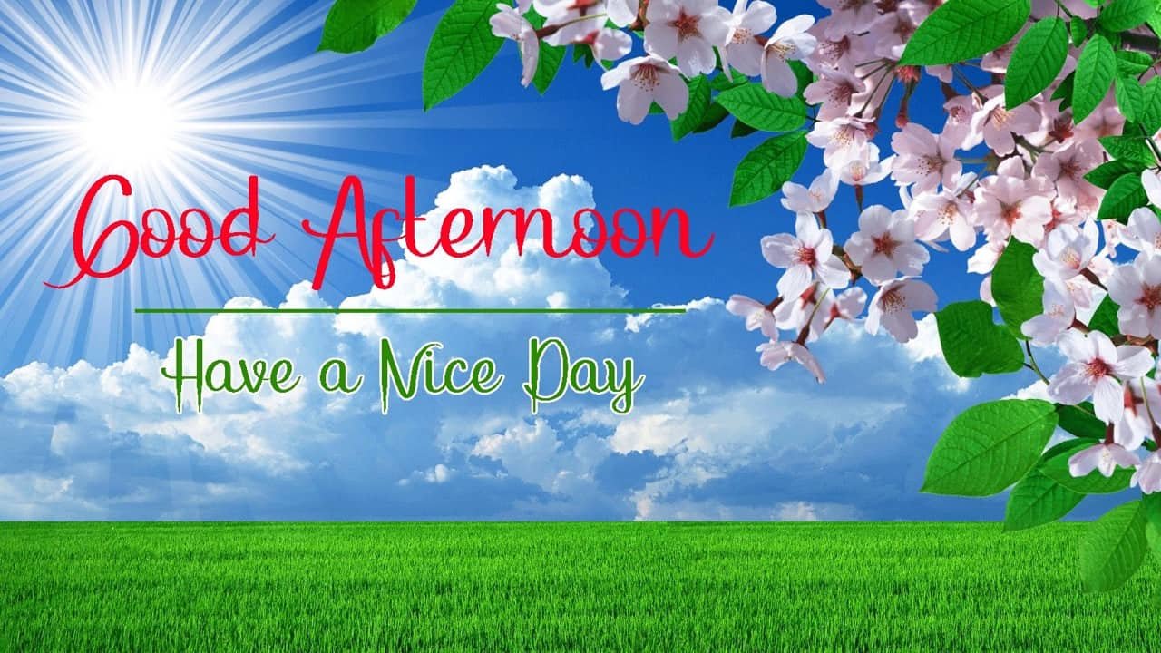 New Good Afternoon Photo