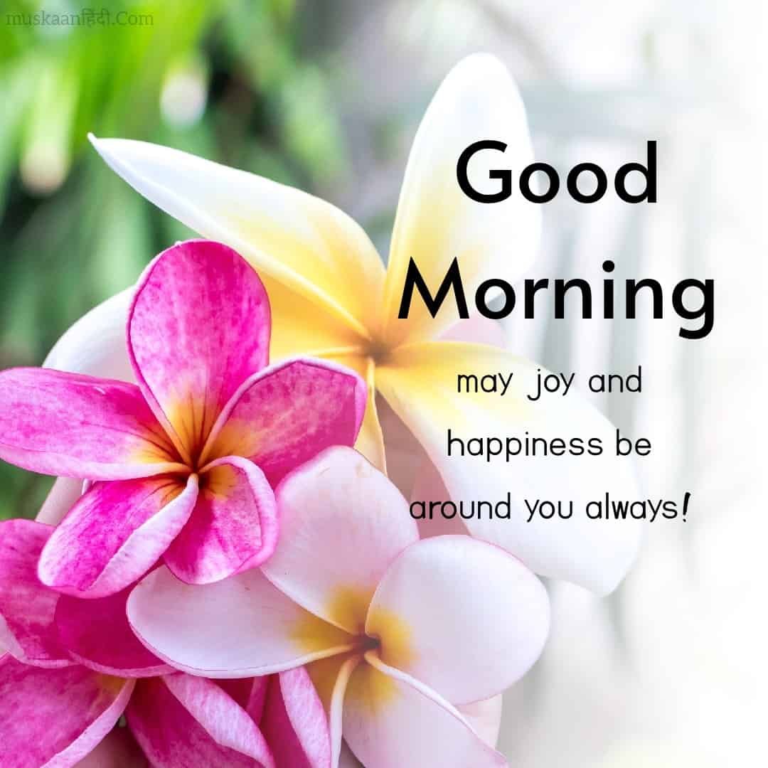 Good Morning Images in Hindi