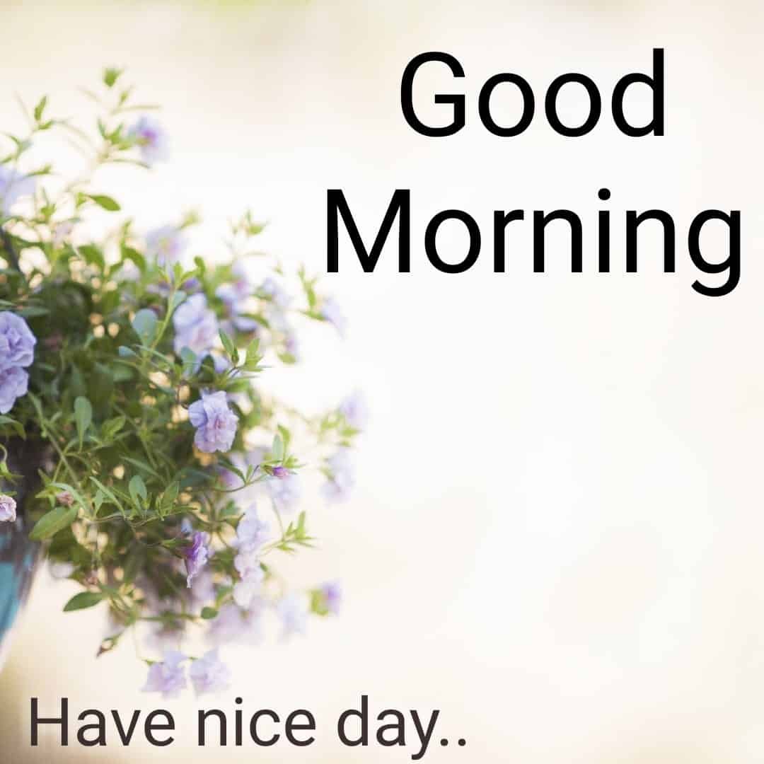 Good Morning Images