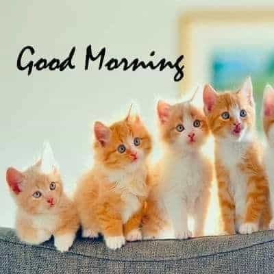 Good Morning Images HD
