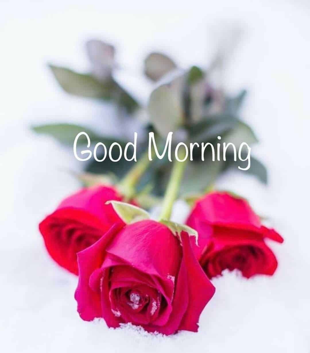 New Good Morning Images