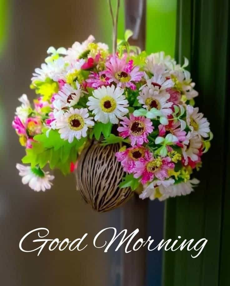 New Good Morning Images