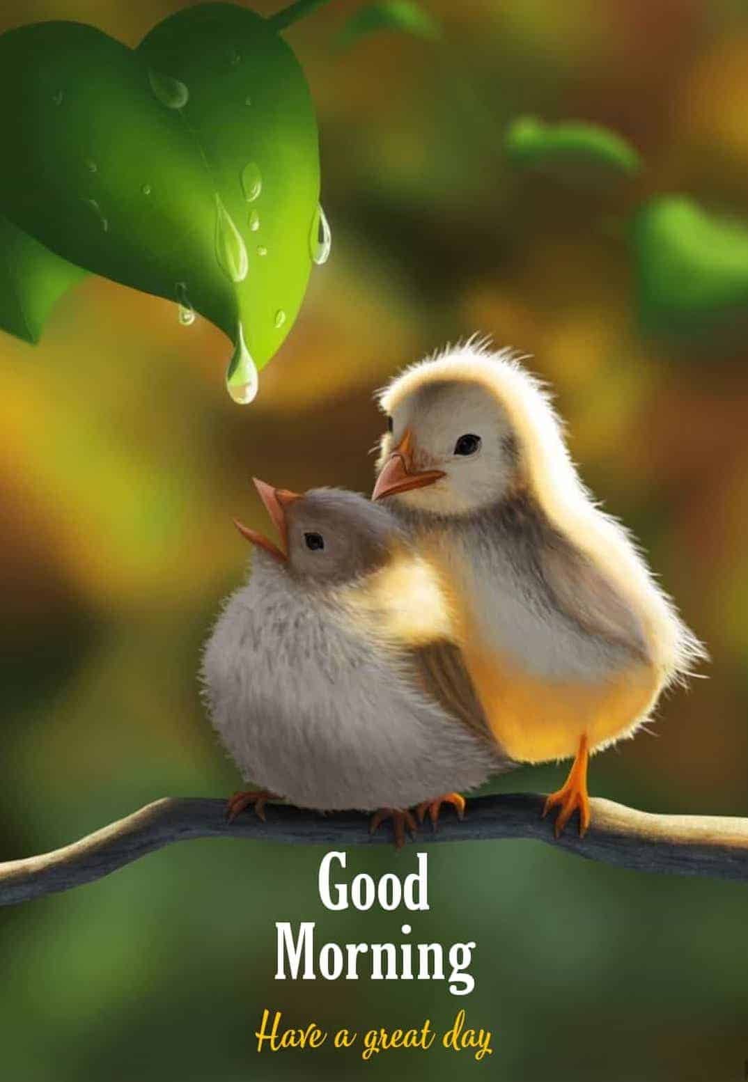 New Good Morning Images