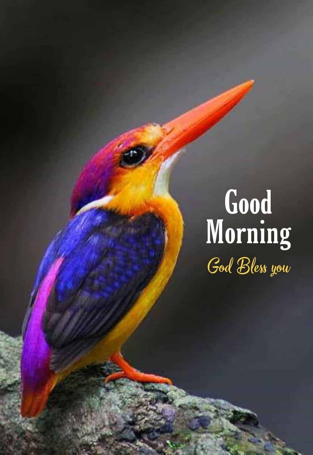 New Good Morning Images