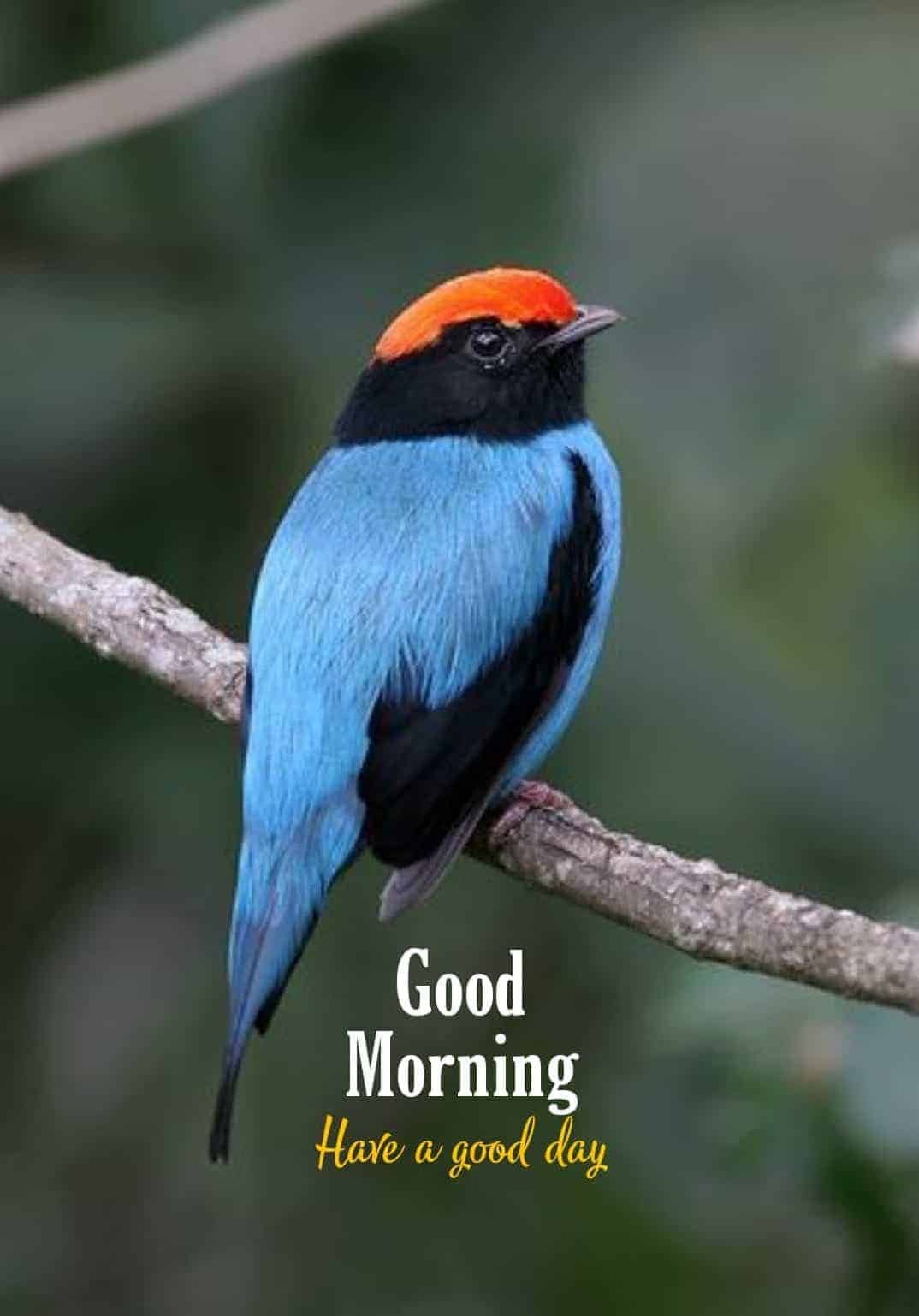 Special Good Morning Images