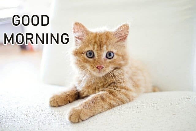 Special Good Morning Images