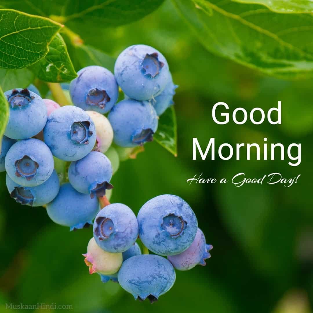 Special Good Morning Images