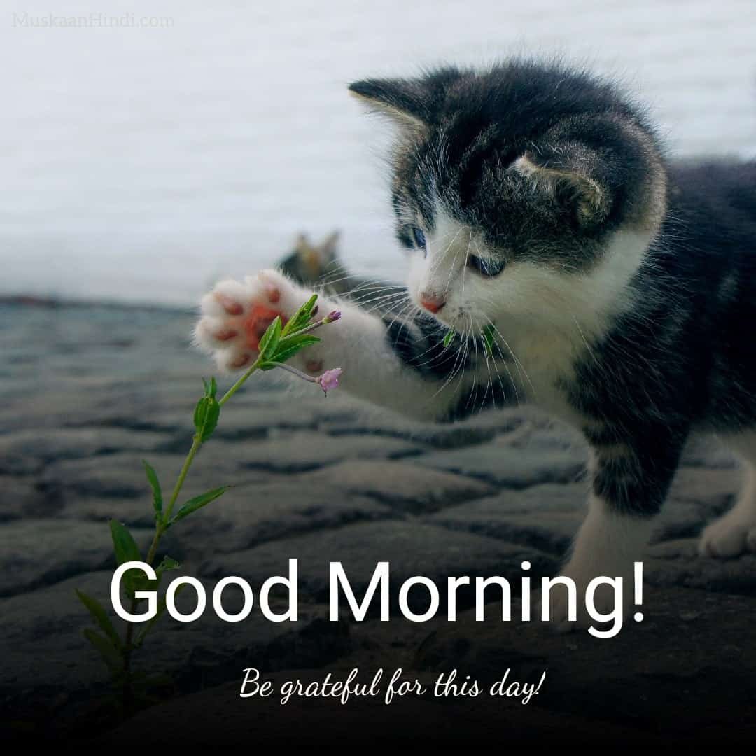 Good Morning Pic