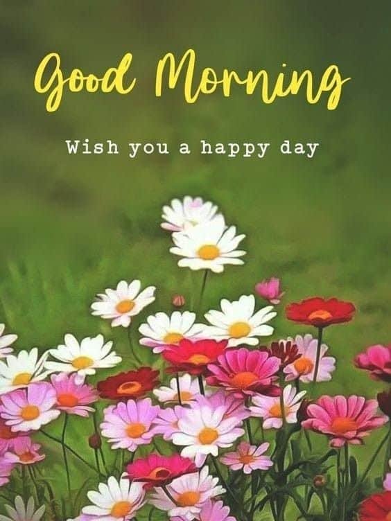Good Morning Pic