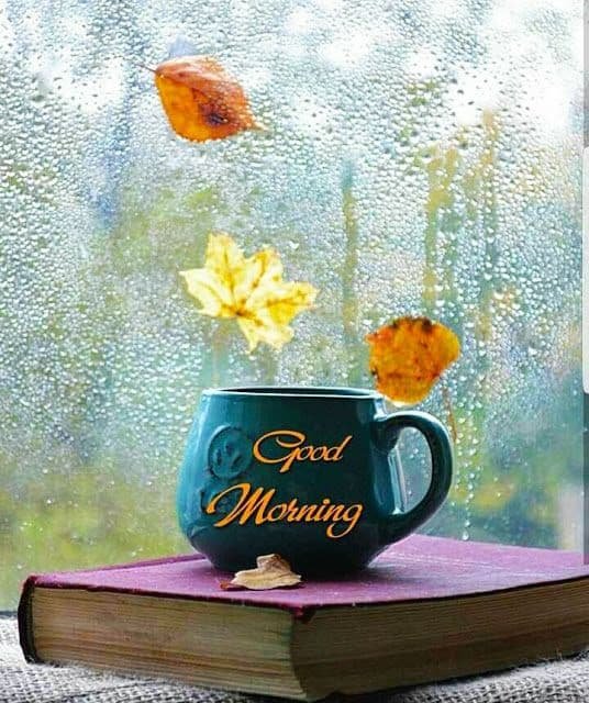 Good Morning Photos