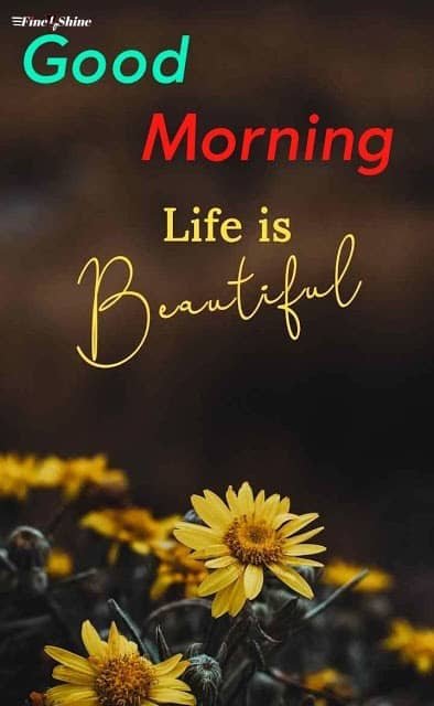 Good Morning Photos