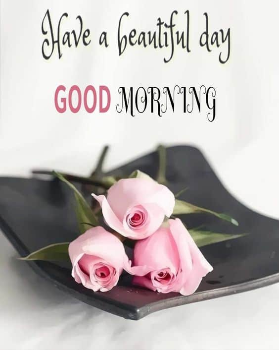 Good Morning Wallpaper