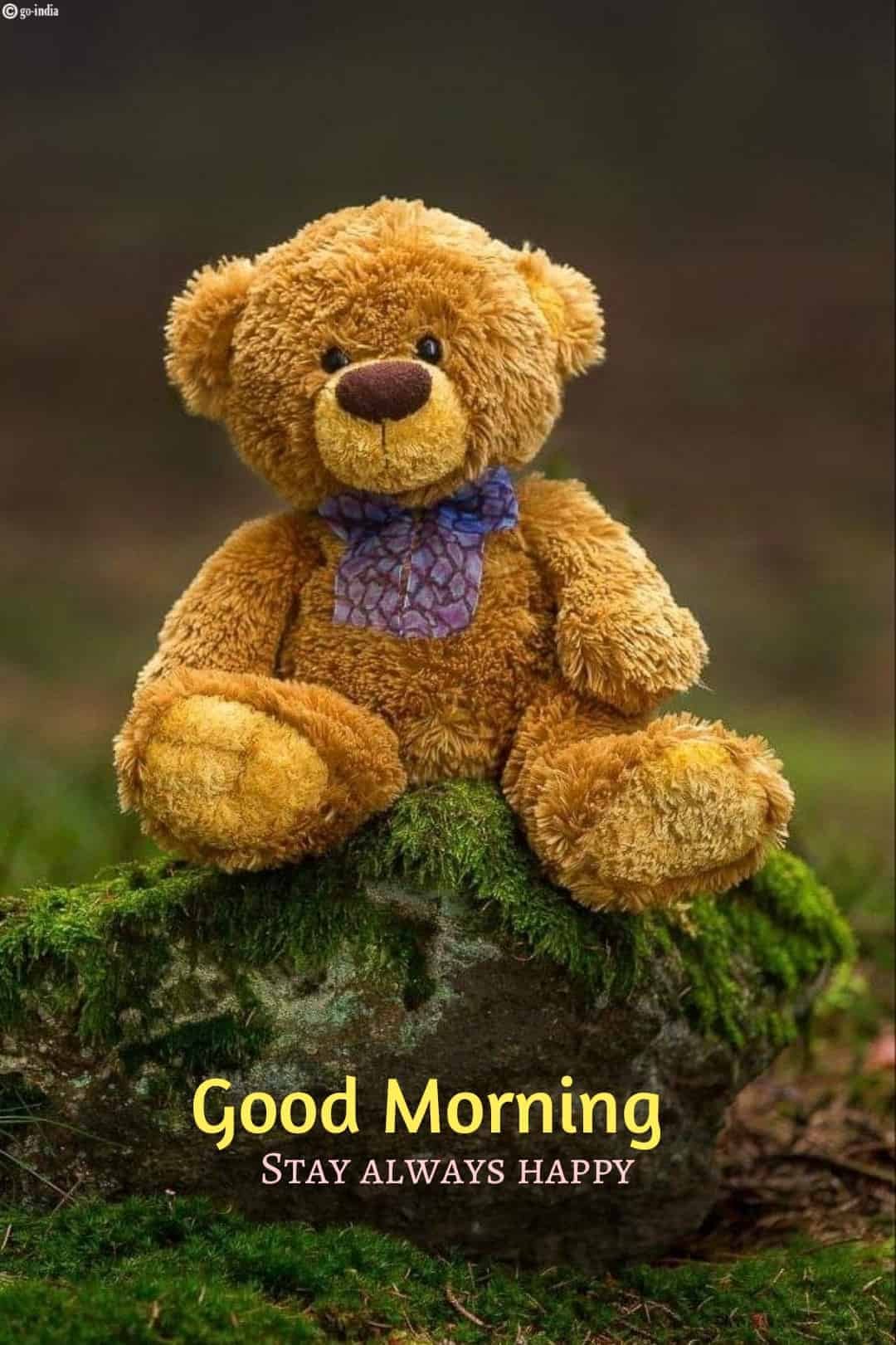 Good Morning Wallpaper