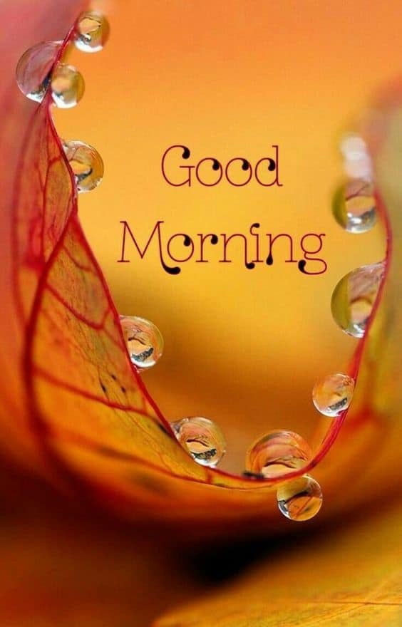 Good Morning Wallpaper